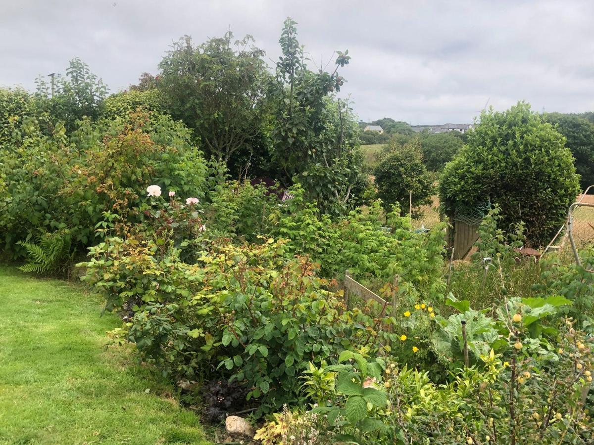 Little Valley View Otterham Exterior foto
